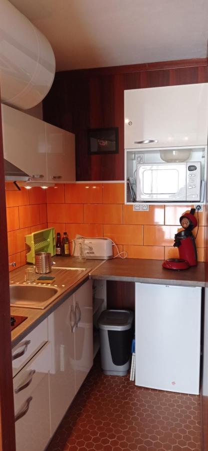 סן-לארי-סולאן Appartement St Lary Soulan Pied Des Pistes מראה חיצוני תמונה